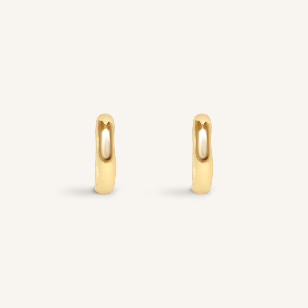 Pair of gold hoop earrings on a white background