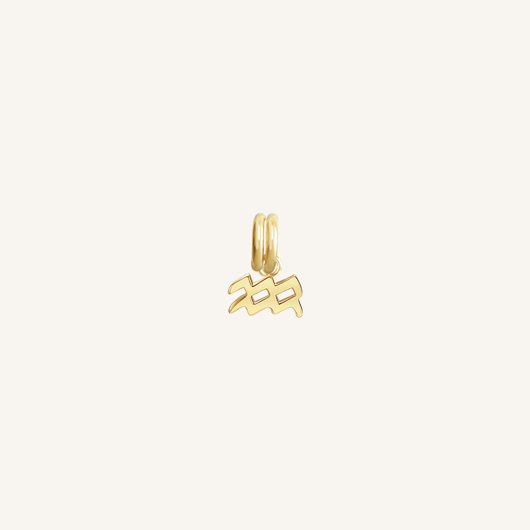 A gold petite charm with the Aquarius zodiac symbol.
