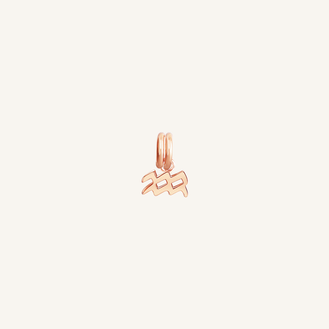 A rose gold petite charm with the Aquarius zodiac symbol.