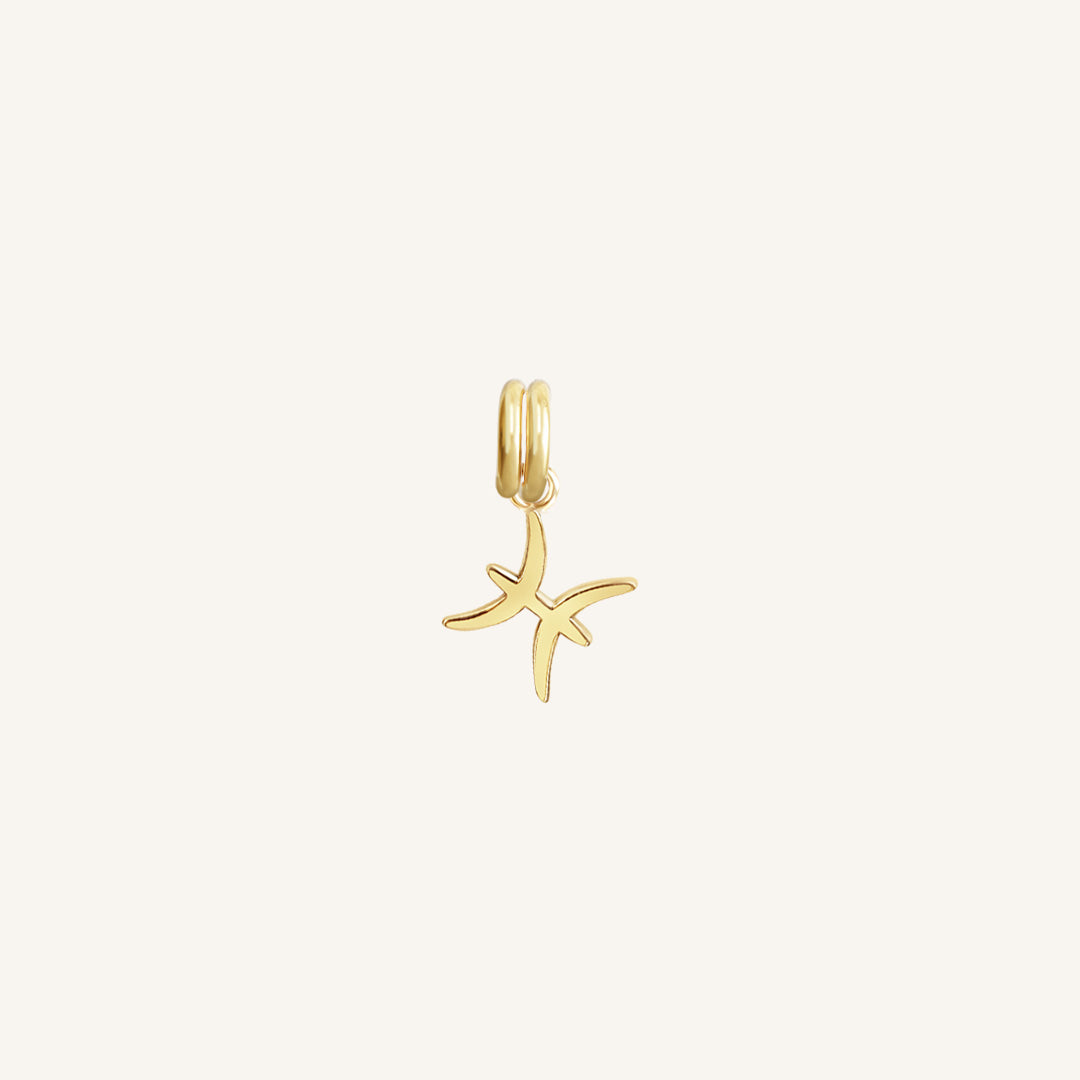 A gold-coloured Petite Zodiac Charm representing the Pisces sign.