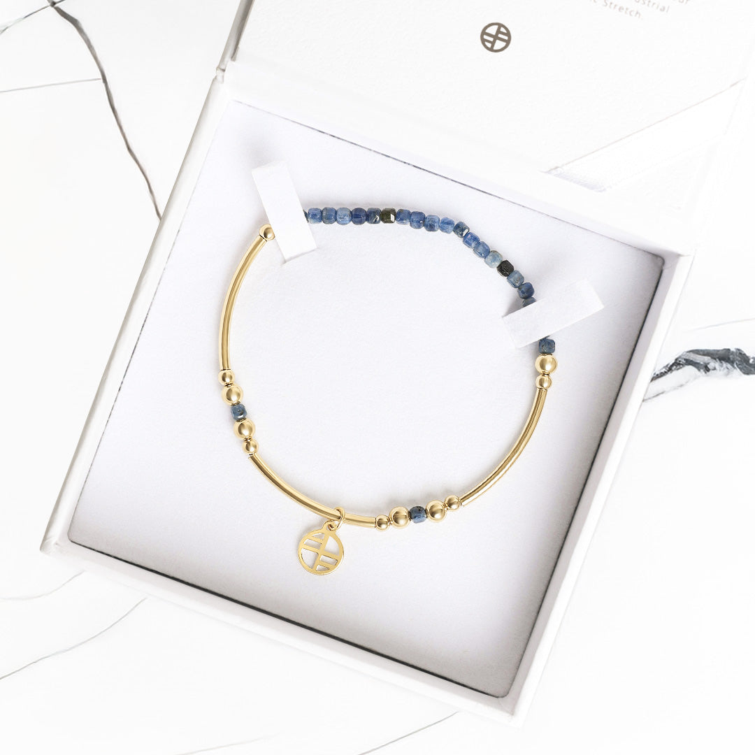 Sapphire Division Charm Bracelet - Stone of Loyalty