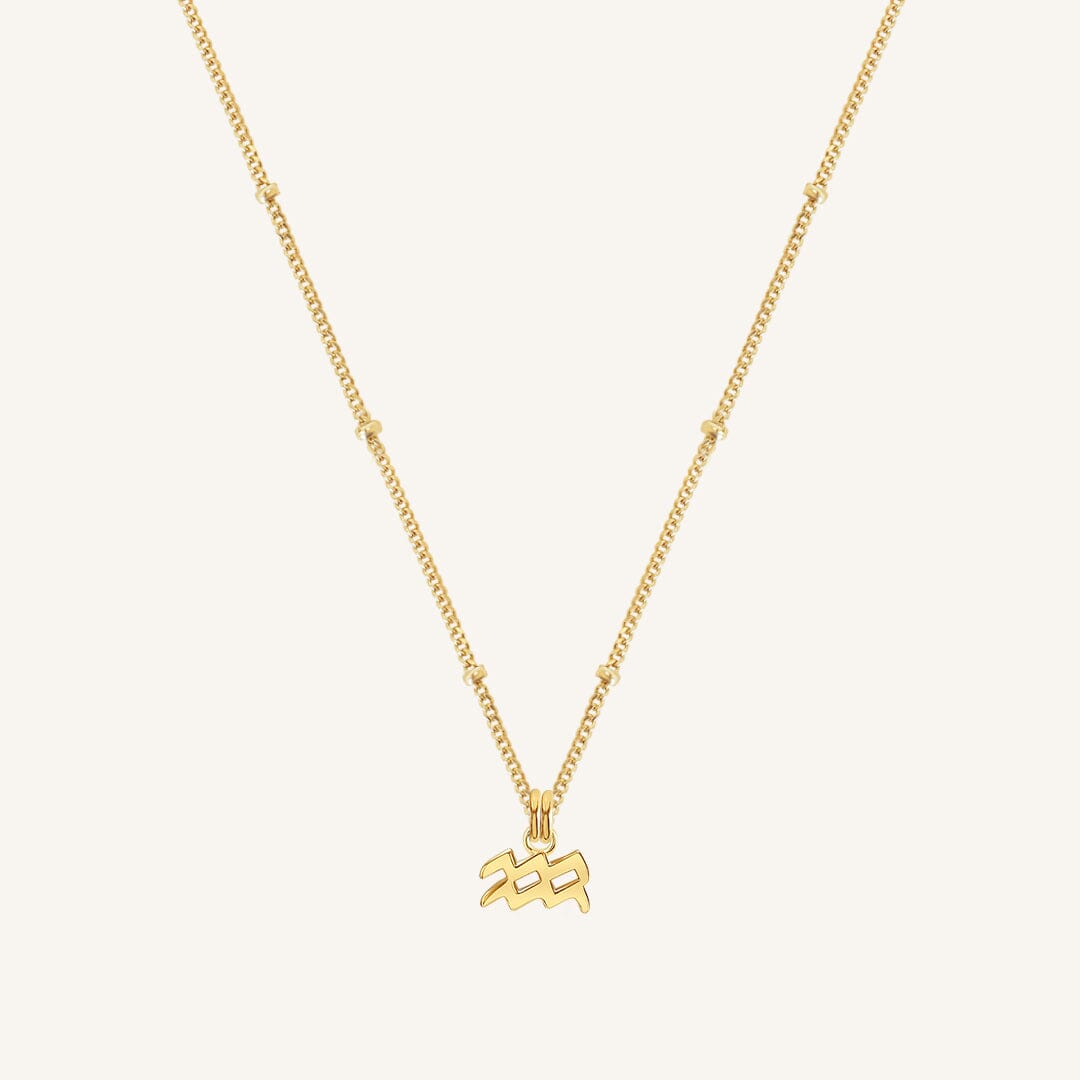 Petite Zodiac Necklace