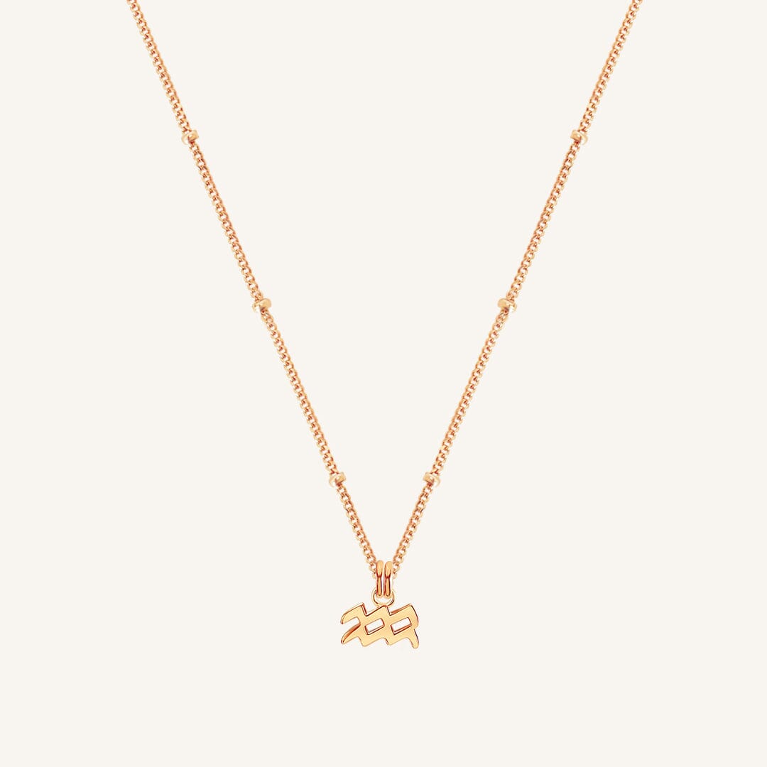 Petite Zodiac Necklace