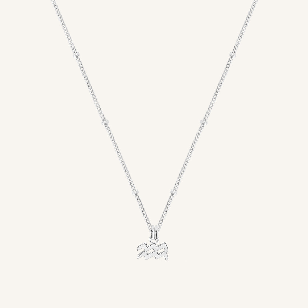 Petite Zodiac Necklace