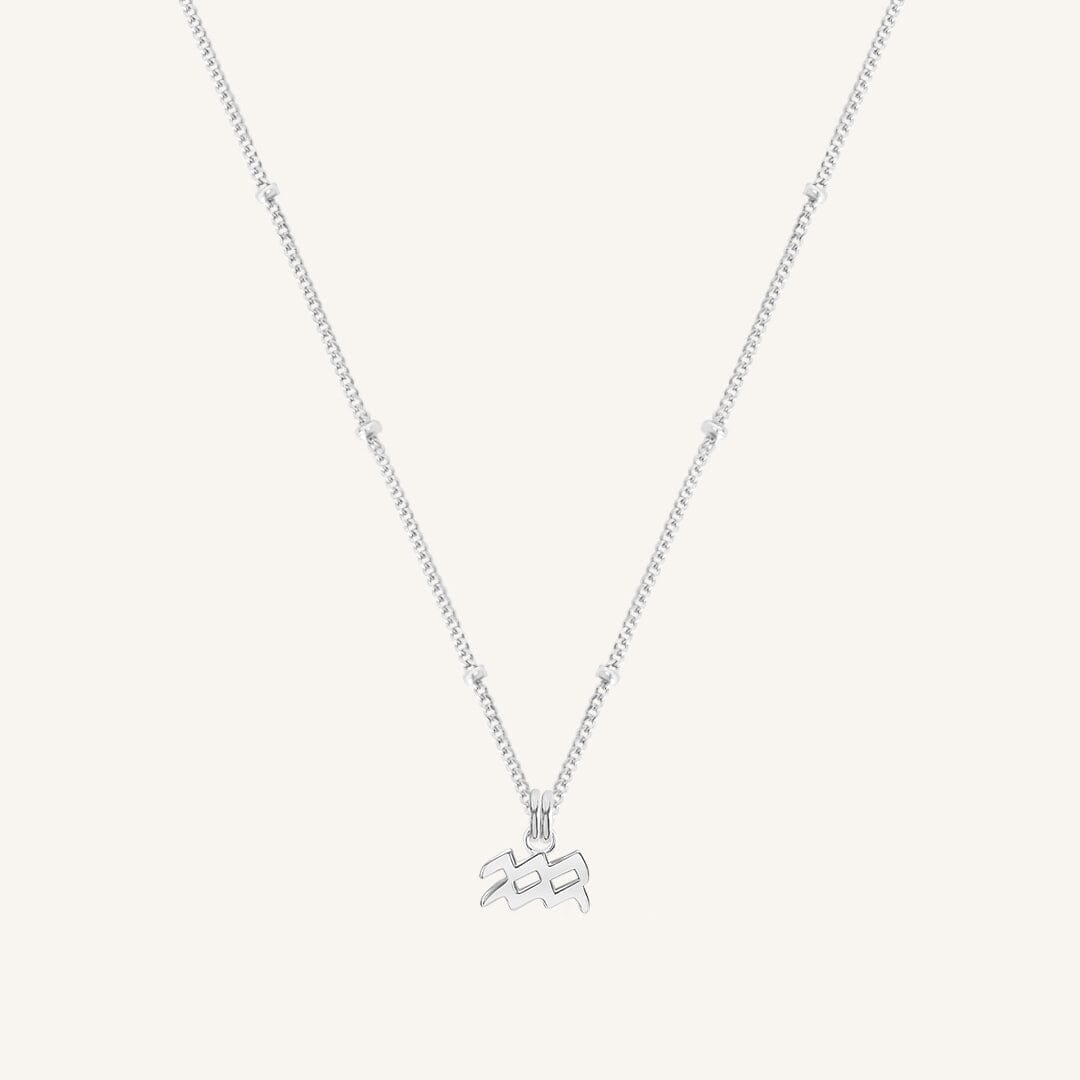 Petite Zodiac Necklace