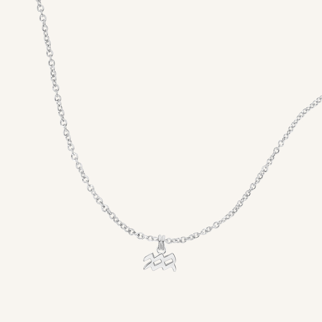 Petite Zodiac Necklace