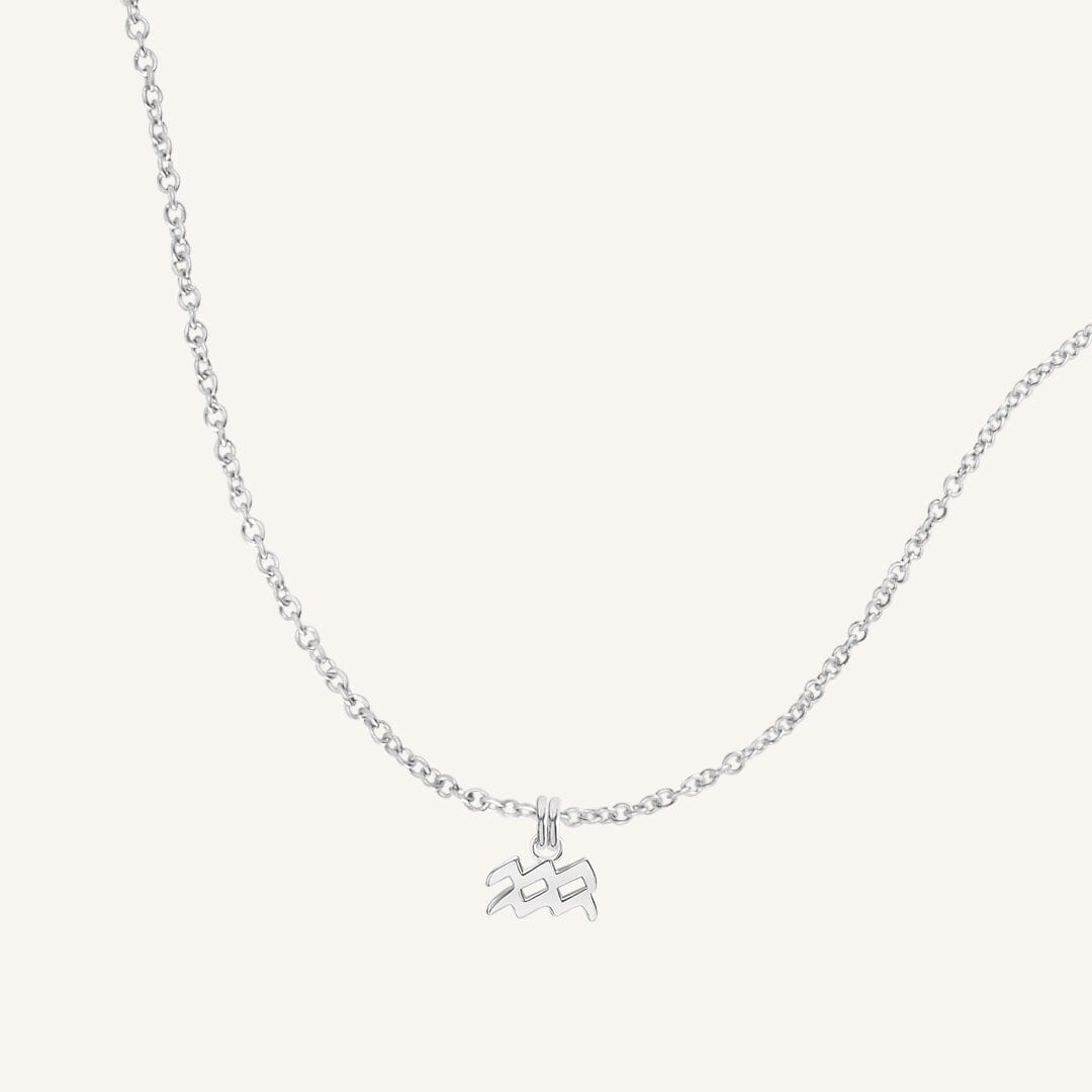 Petite Zodiac Necklace