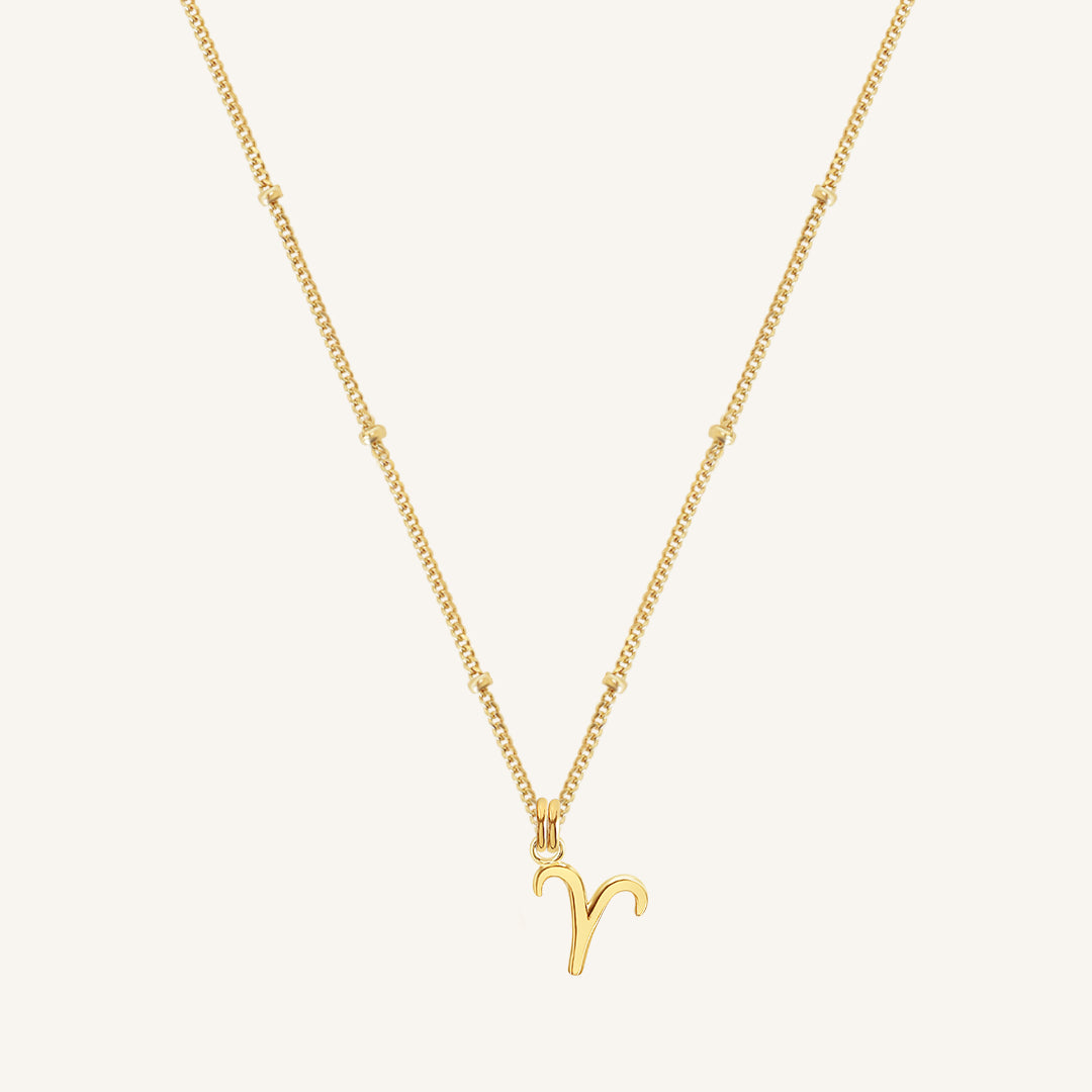 Petite Zodiac Necklace