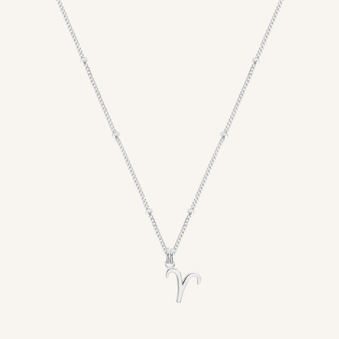 Petite Zodiac Necklace