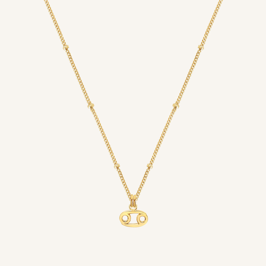 Petite Zodiac Necklace