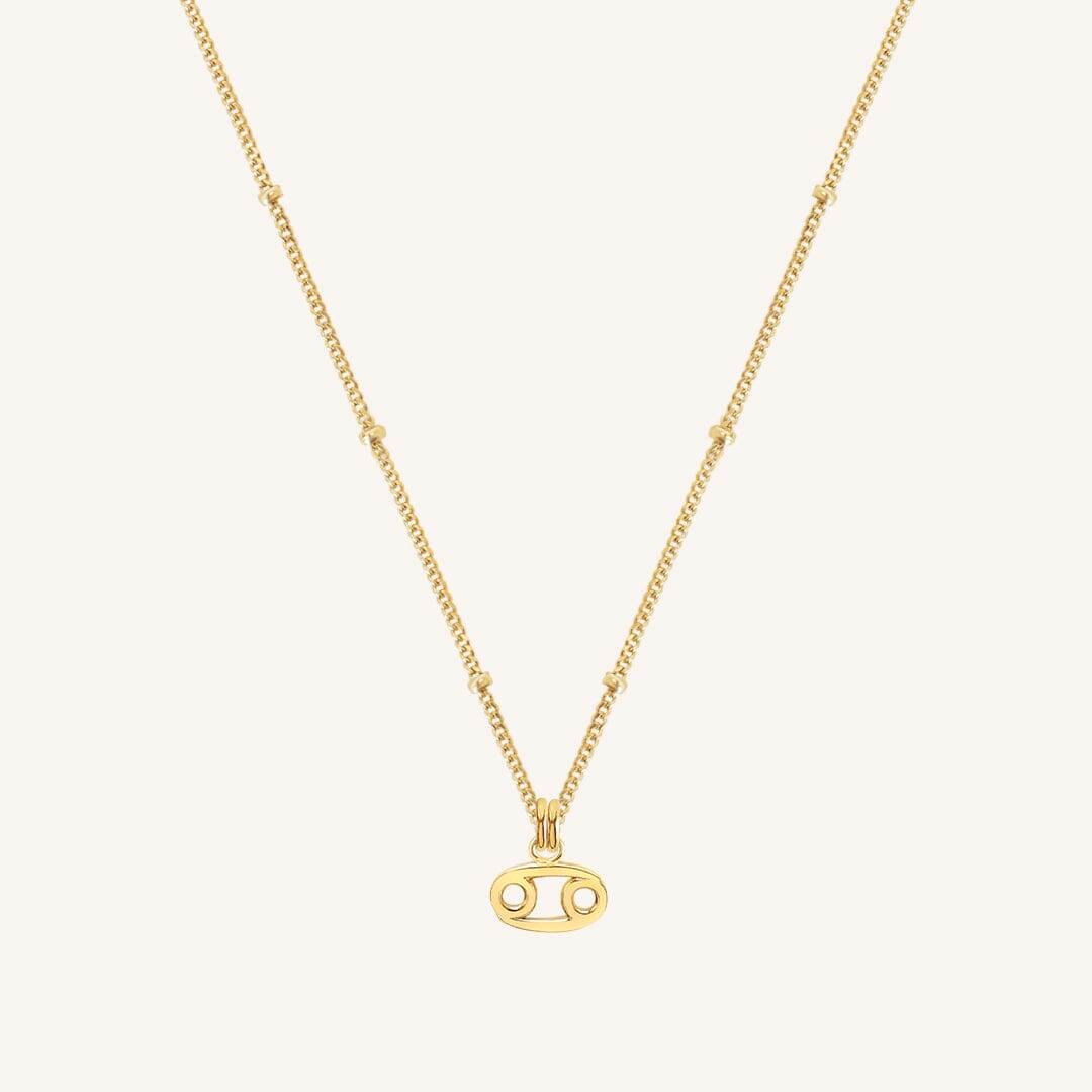 Petite Zodiac Necklace