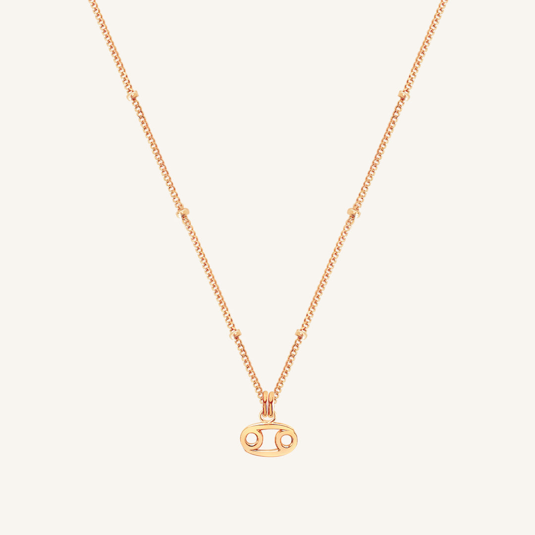 Petite Zodiac Necklace