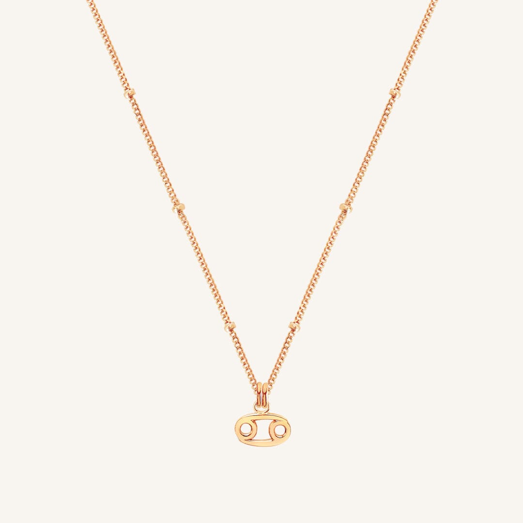 Petite Zodiac Necklace