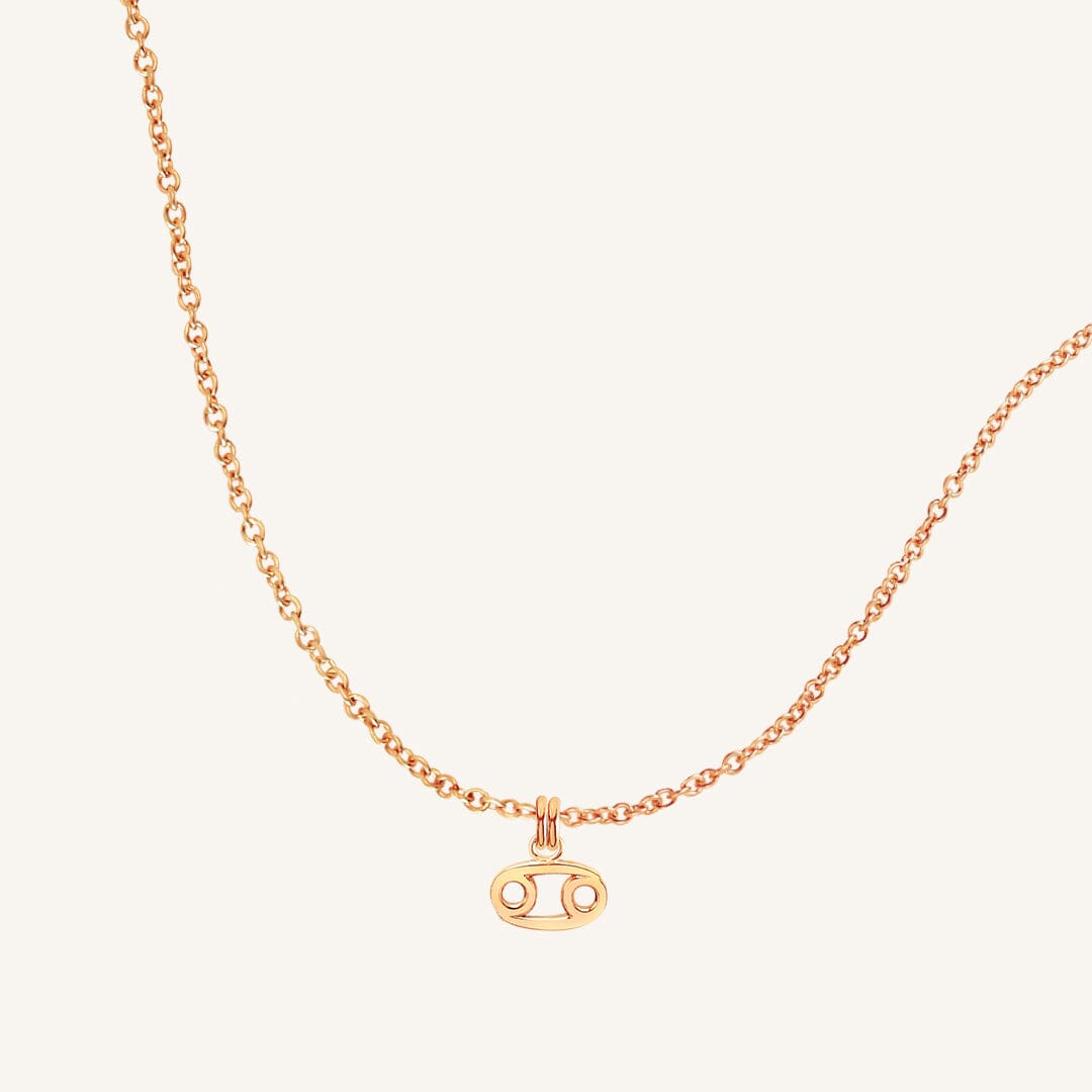 Petite Zodiac Necklace