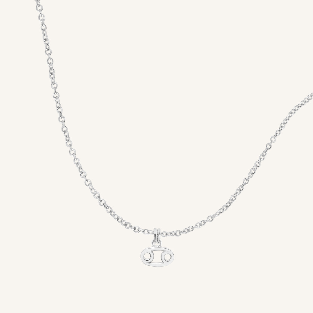 Petite Zodiac Necklace