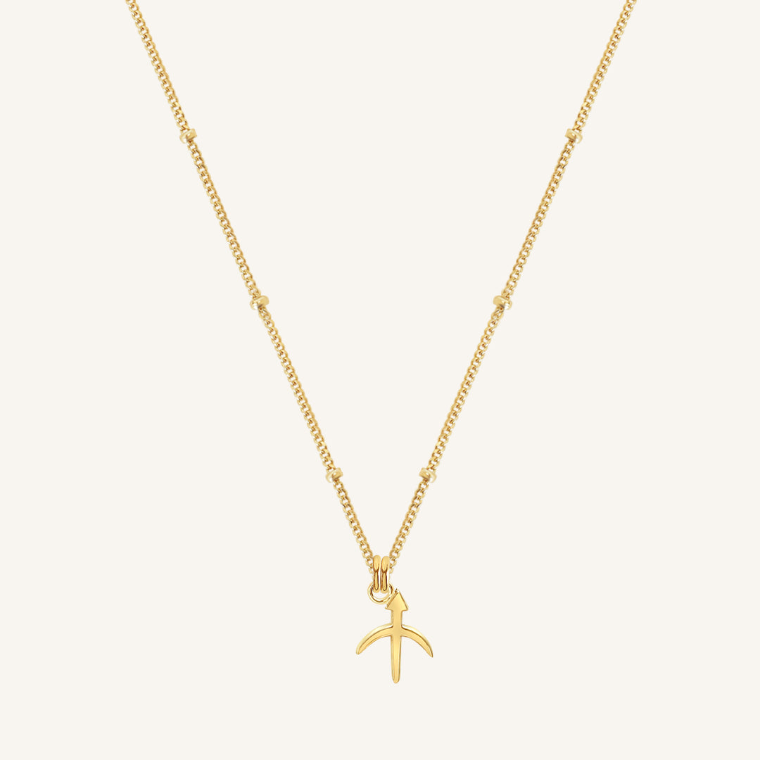 Petite Zodiac Necklace