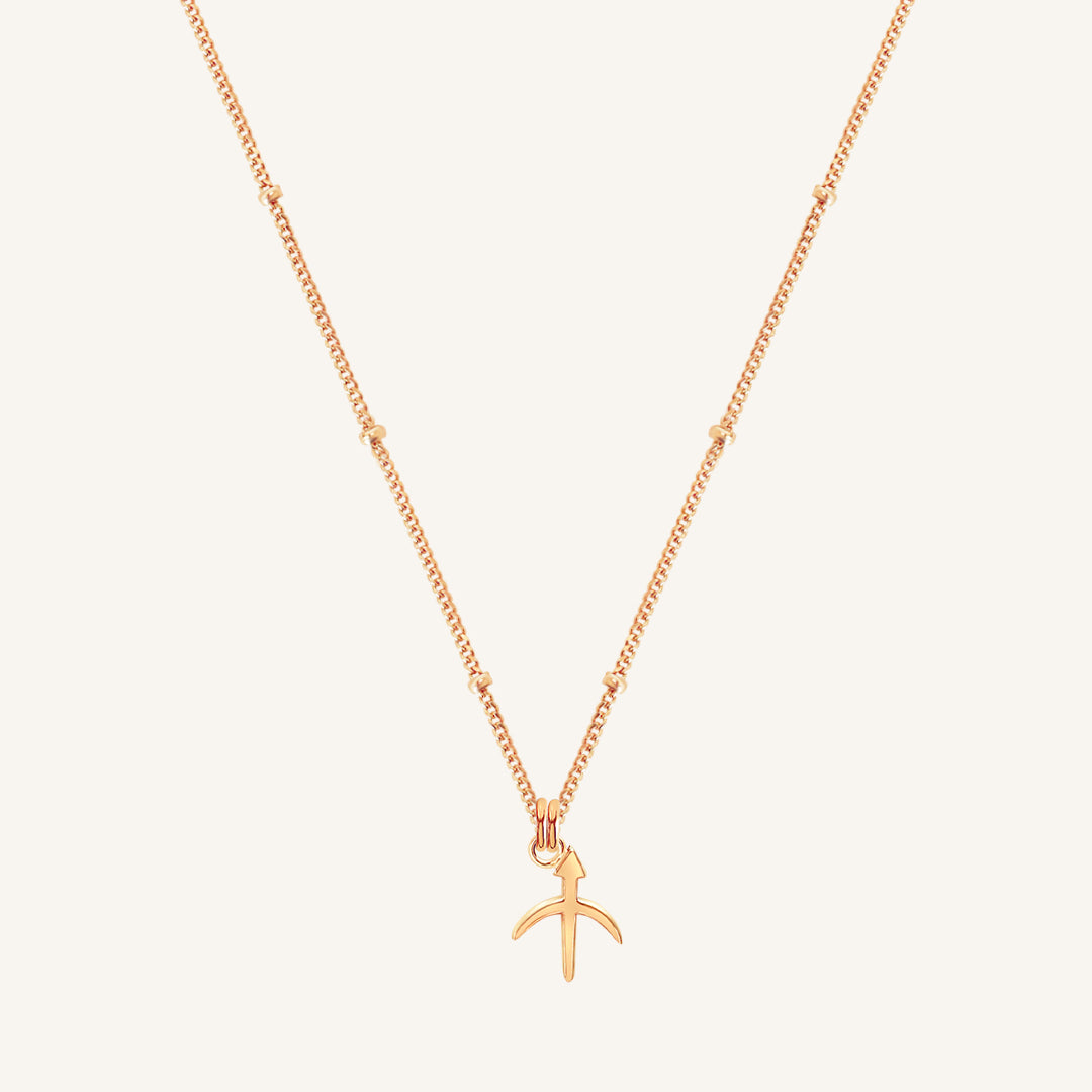 Petite Zodiac Necklace
