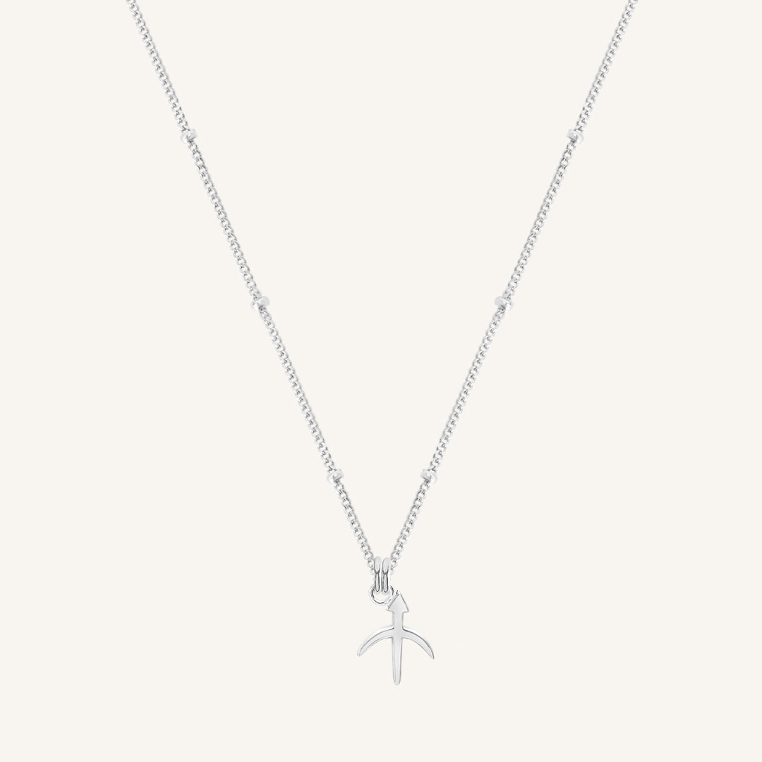 Petite Zodiac Necklace