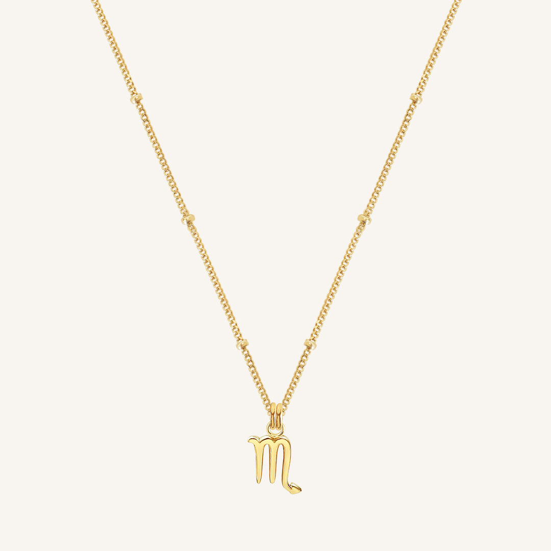 Petite Zodiac Necklace