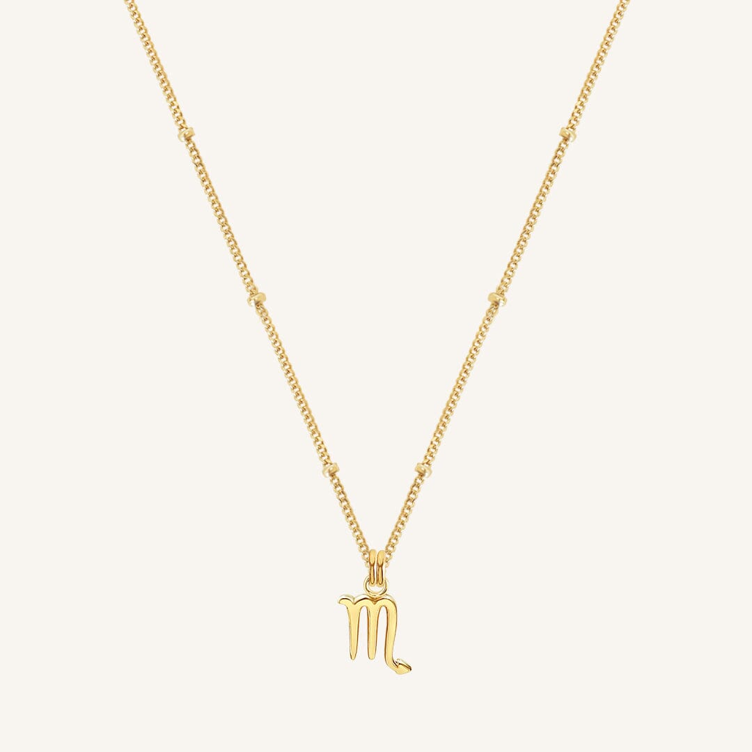 Petite Zodiac Necklace