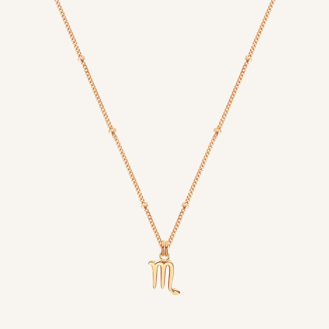 Petite Zodiac Necklace