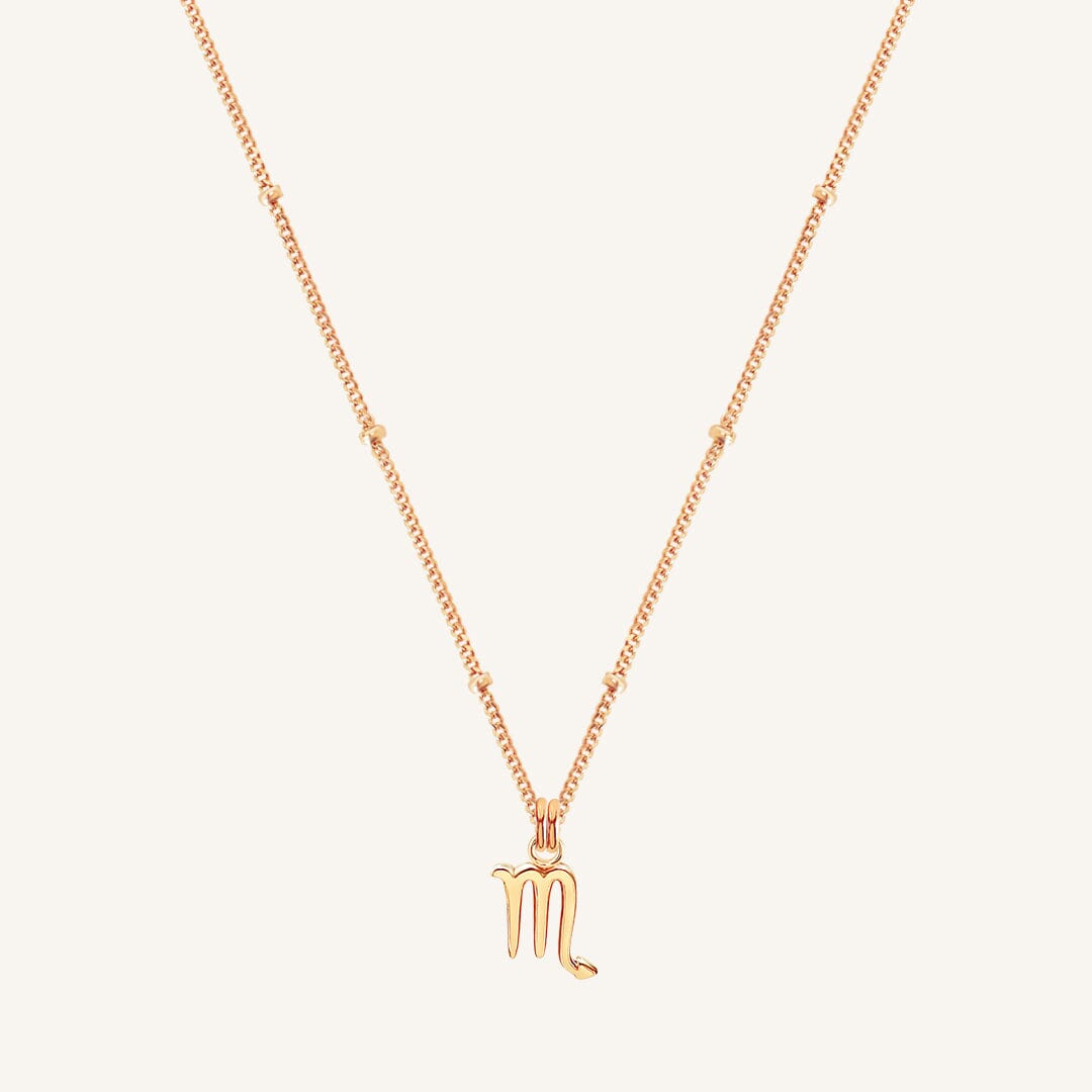 Petite Zodiac Necklace
