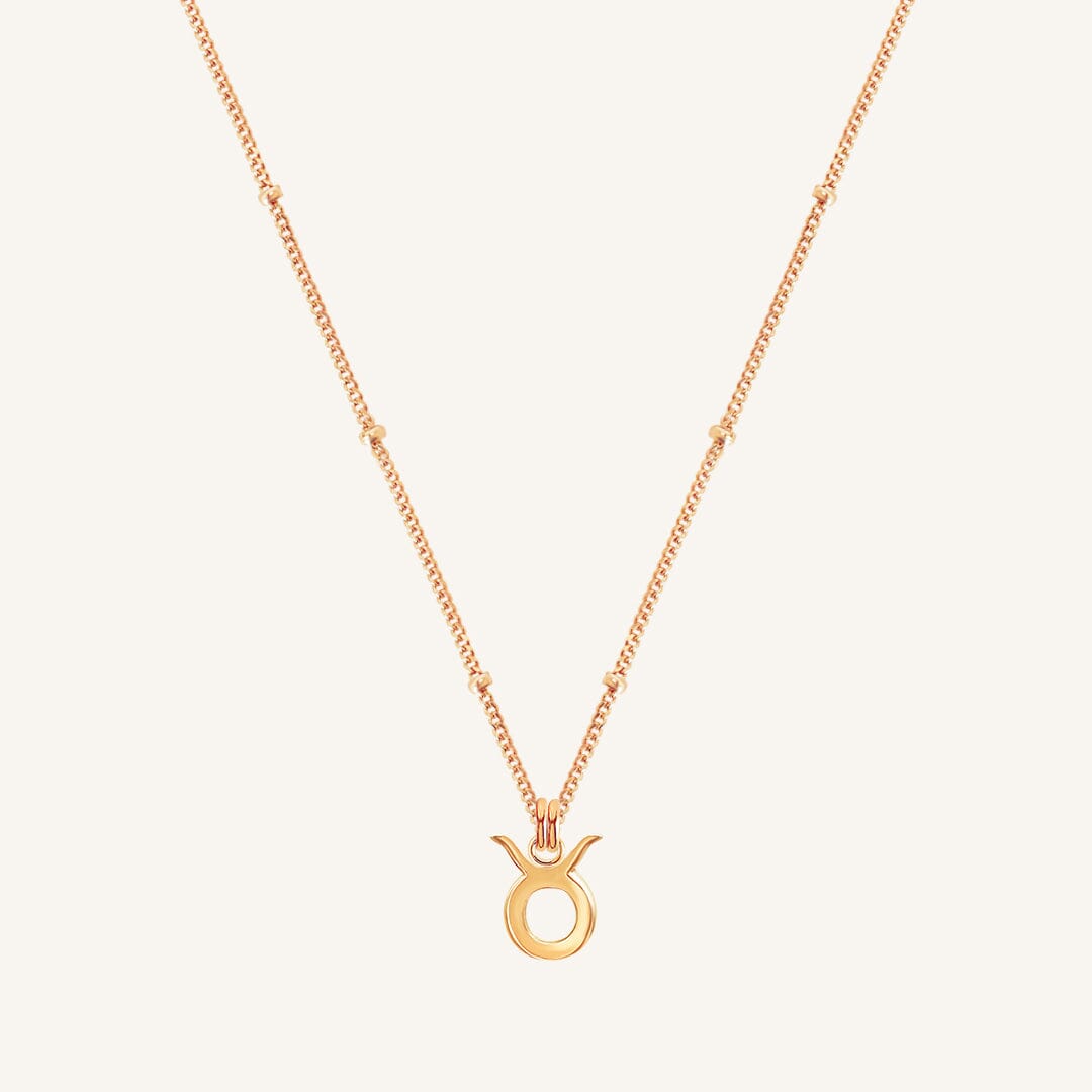 Petite Zodiac Necklace