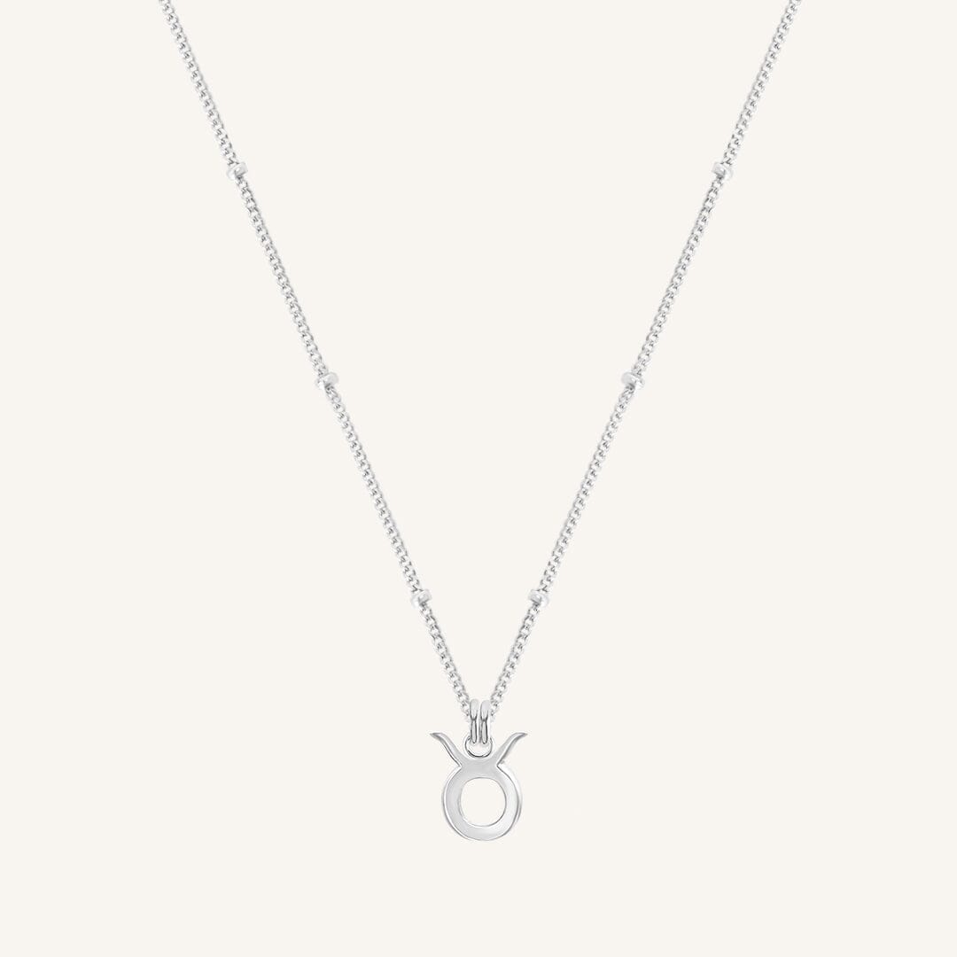 Petite Zodiac Necklace