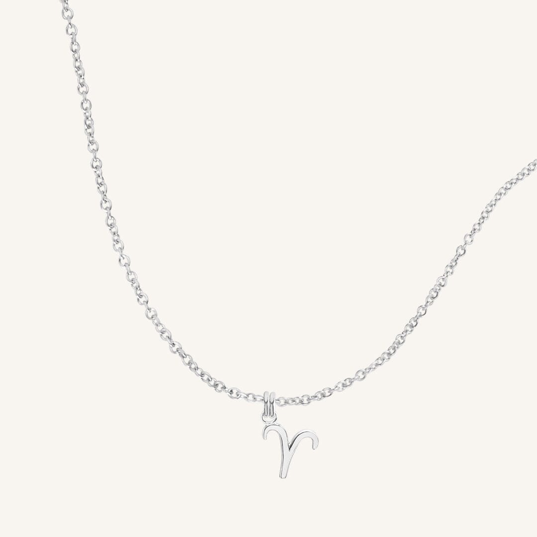 Petite Zodiac Necklace