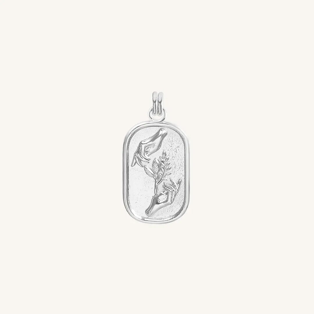 Conservation Charm - CONSERVATION_LARGE_SILVER_1.jpg