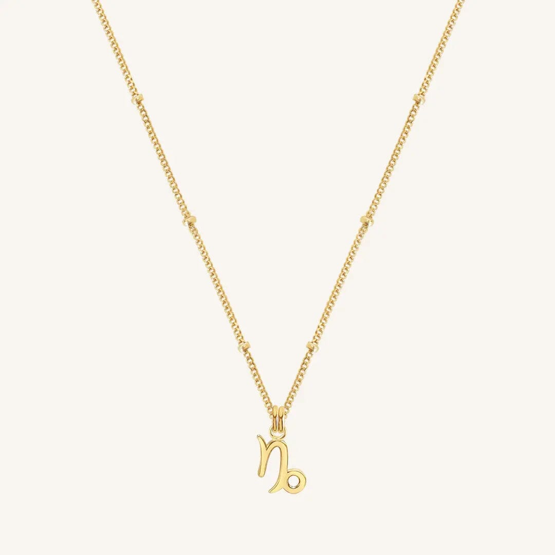 Petite Zodiac Necklace - ZODIACCAPRICORN_PETITE_GOLD_3.jpg