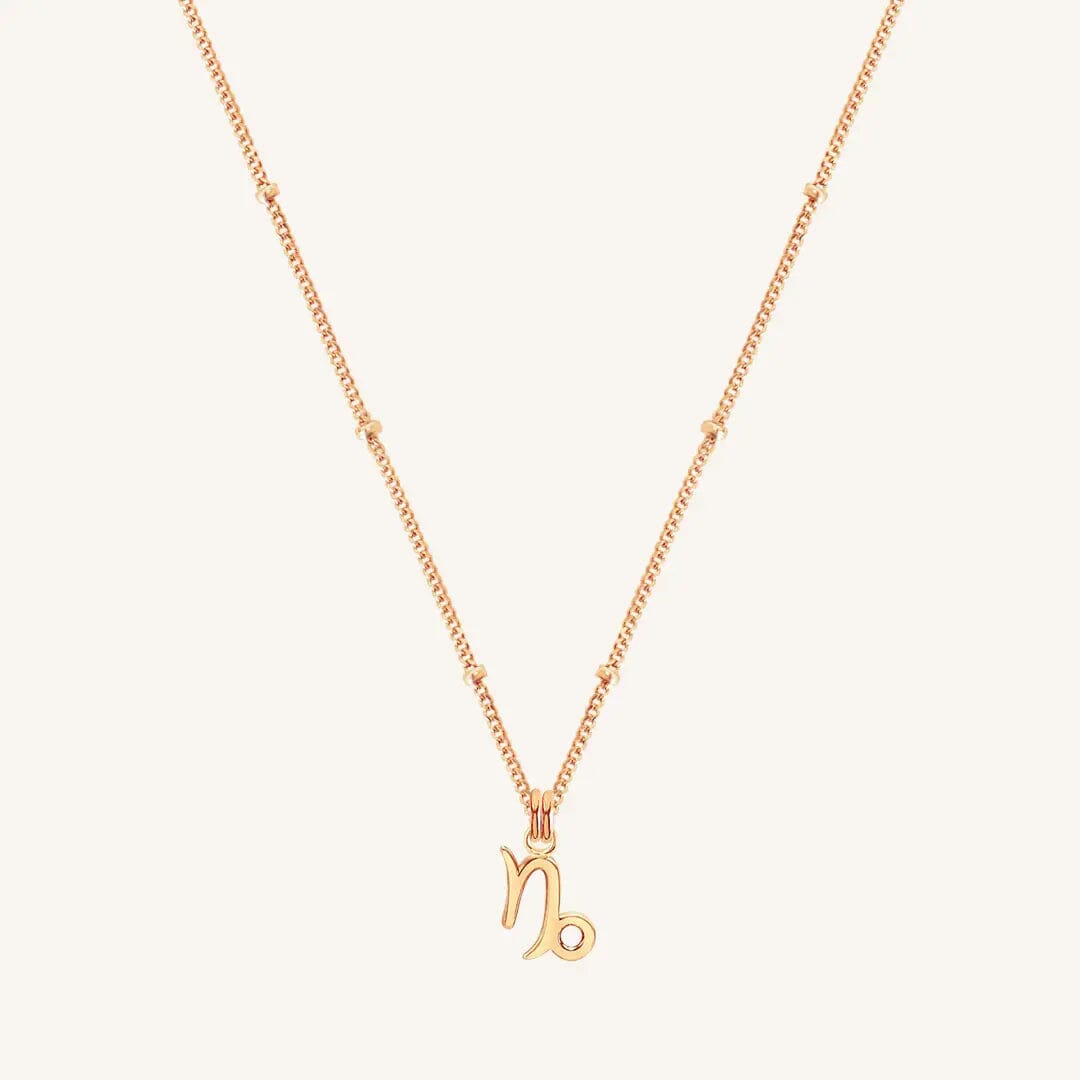 Petite Zodiac Necklace - ZODIACCAPRICORN_PETITE_ROSEGOLD_3.jpg