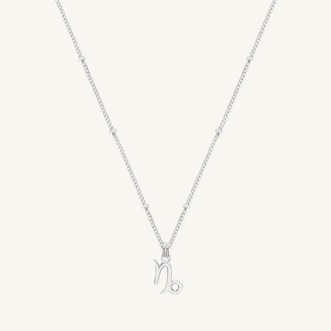 Petite Zodiac Necklace - ZODIACCAPRICORN_PETITE_SILVER_3.jpg