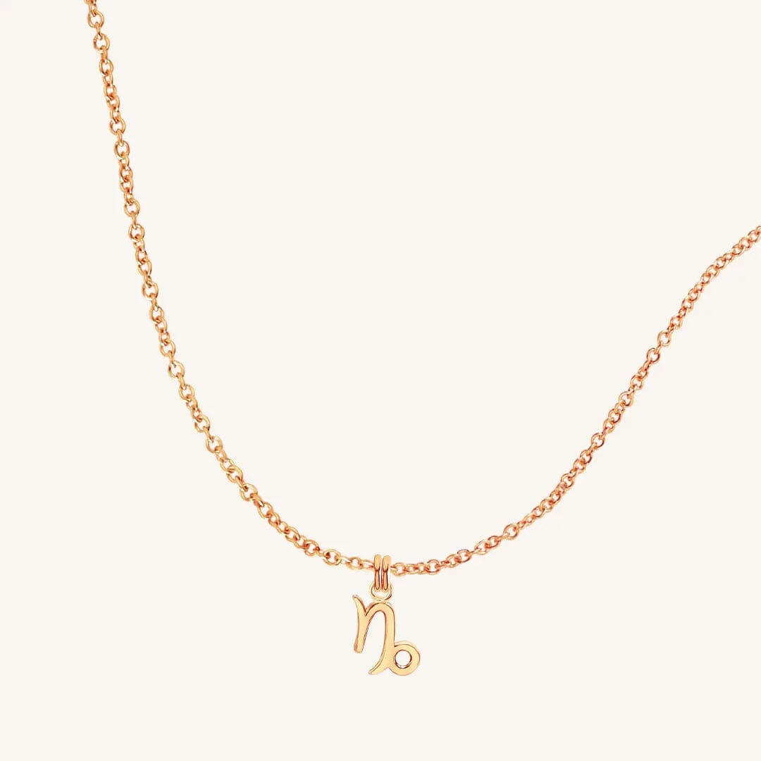 Petite Zodiac Necklace - ZODIACCAPRICORN_PETITE_ROSEGOLD_2.jpg