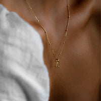 Petite Zodiac Necklace - ZODIACCAPRICORN_PETITE_GOLD_2.jpg