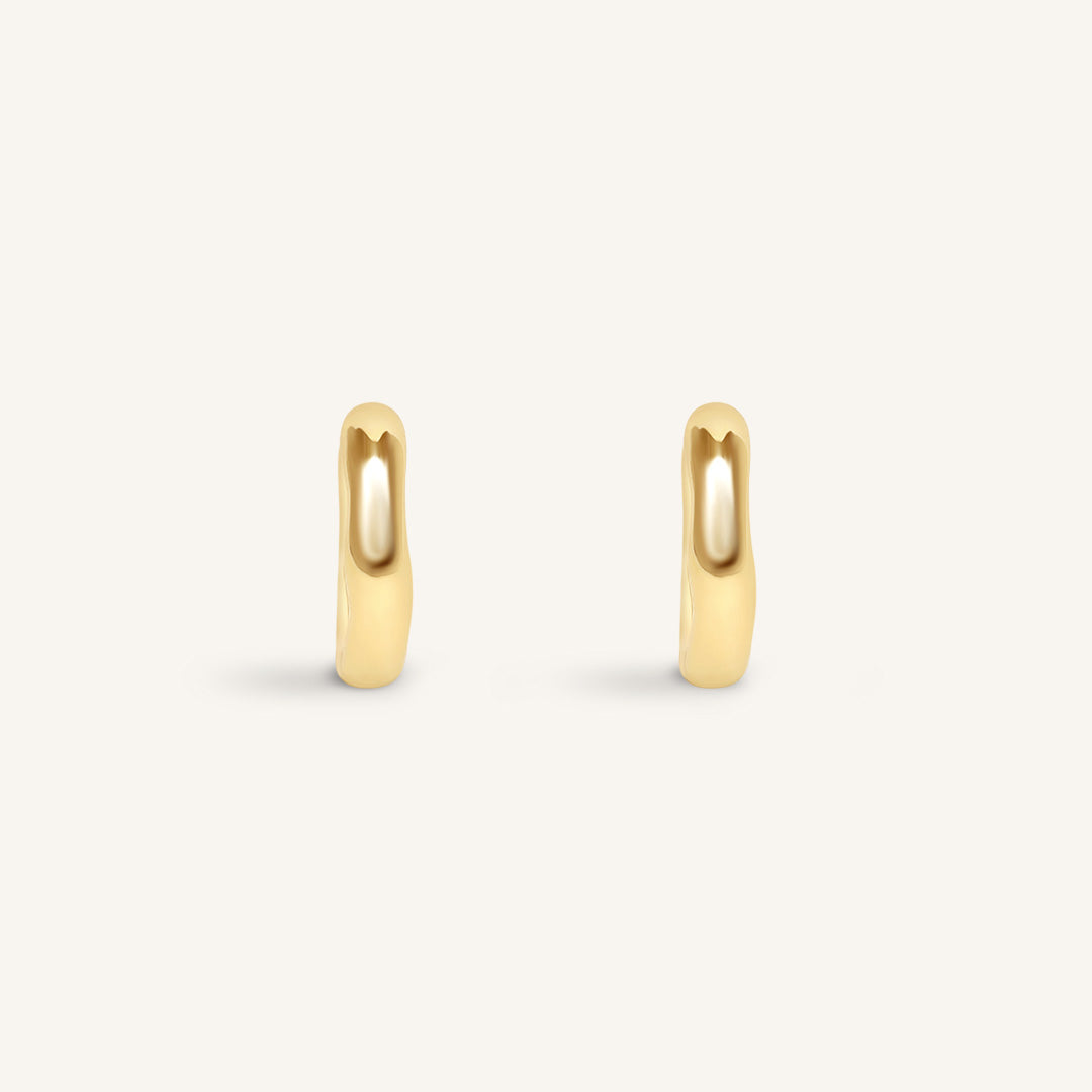 Pair of gold hoop earrings on a white background