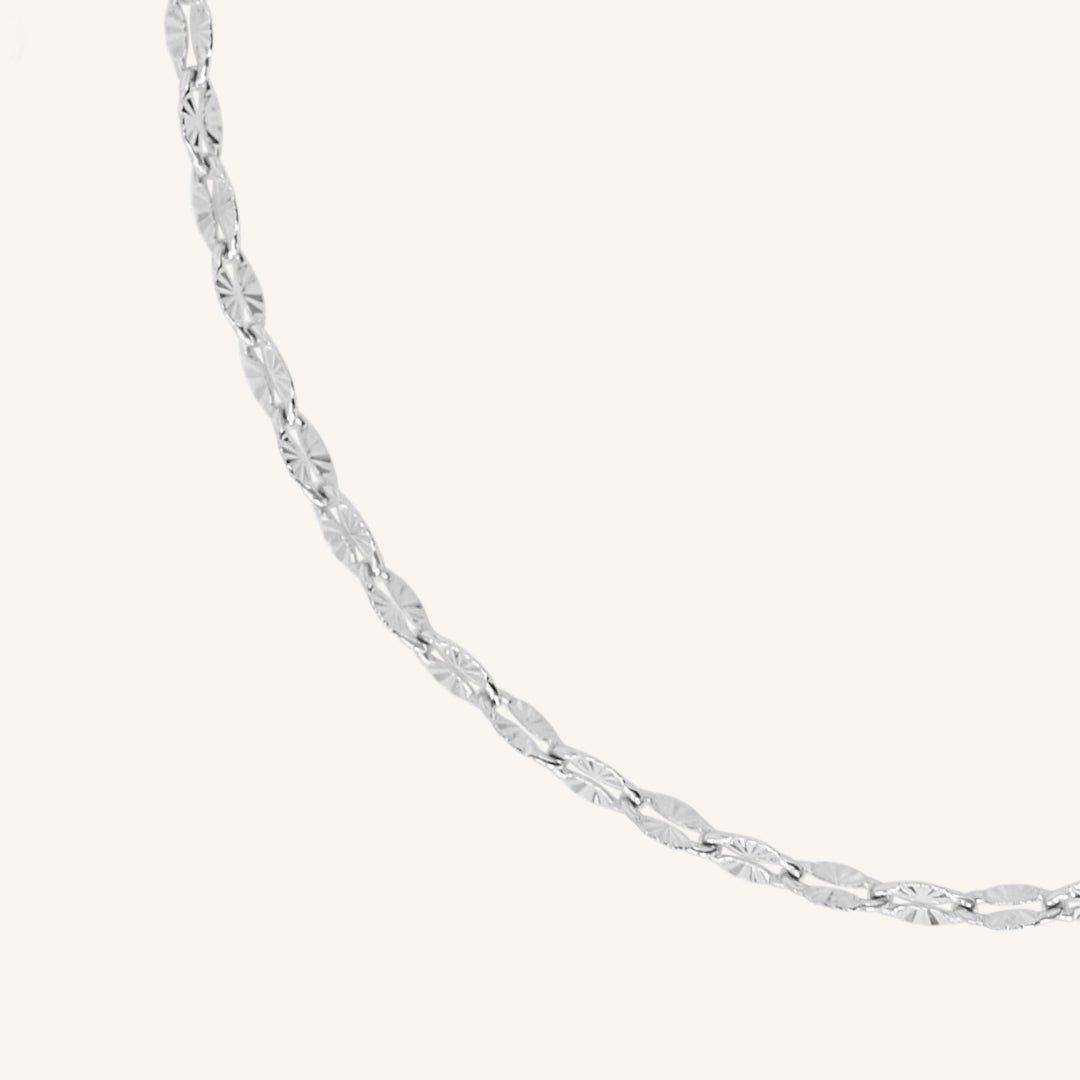 Silver chain necklace on a white background