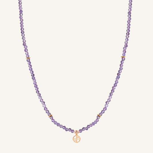 February Birthstone Necklace