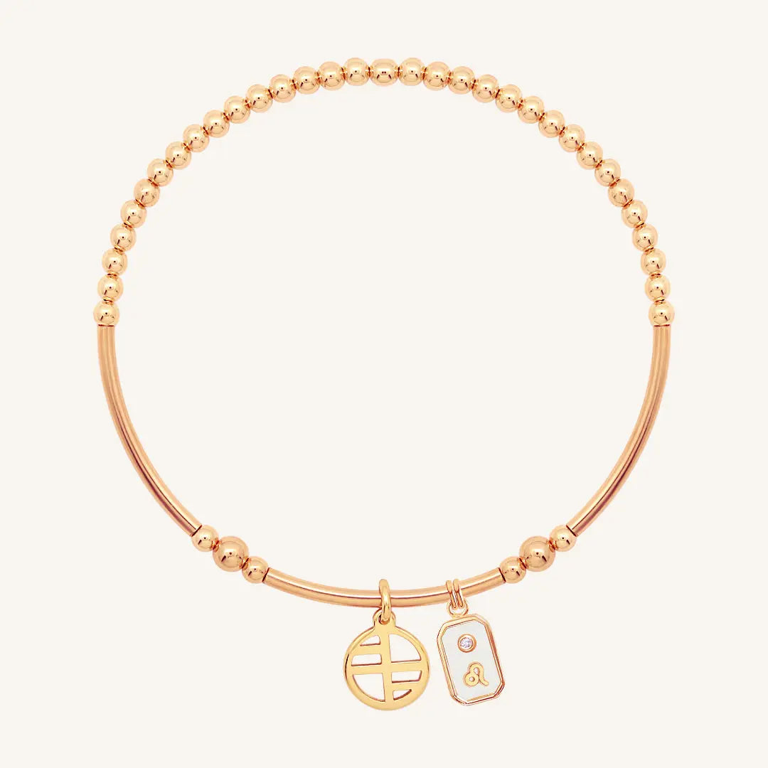 The    Iridescent Zodiac Charm Leo by  Francesca Jewellery from the Charms Collection.