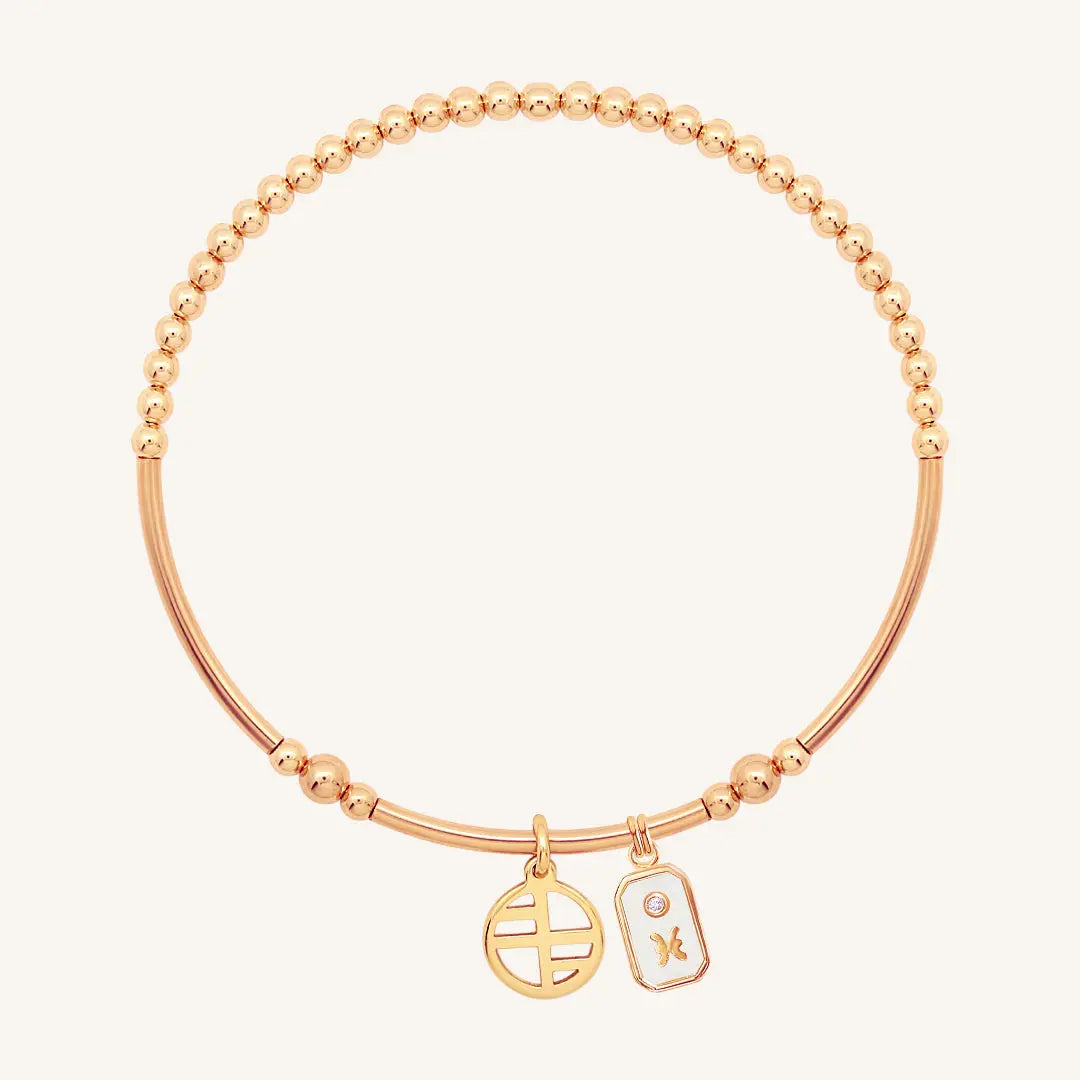 The    Iridescent Zodiac Charm Pisces by  Francesca Jewellery from the Charms Collection.