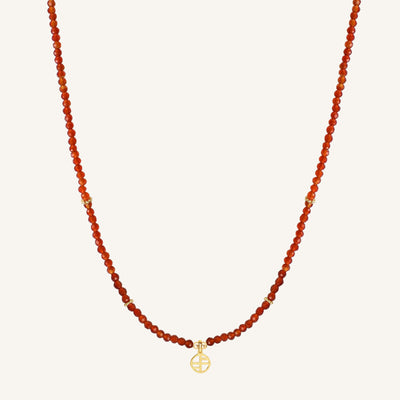 January Birthstone Necklace