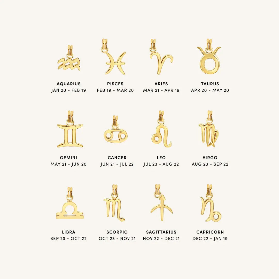 Petite Zodiac Necklace