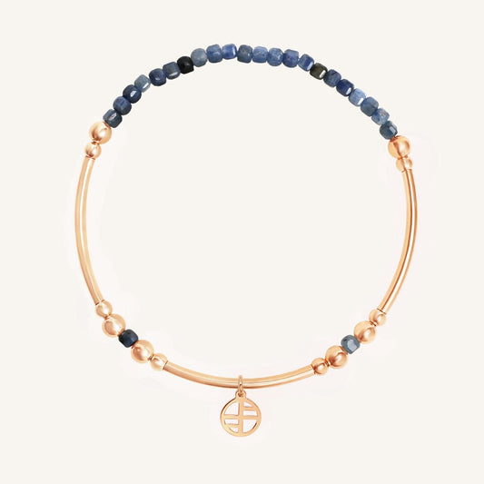 Sapphire Division Charm Bracelet - Stone of Loyalty