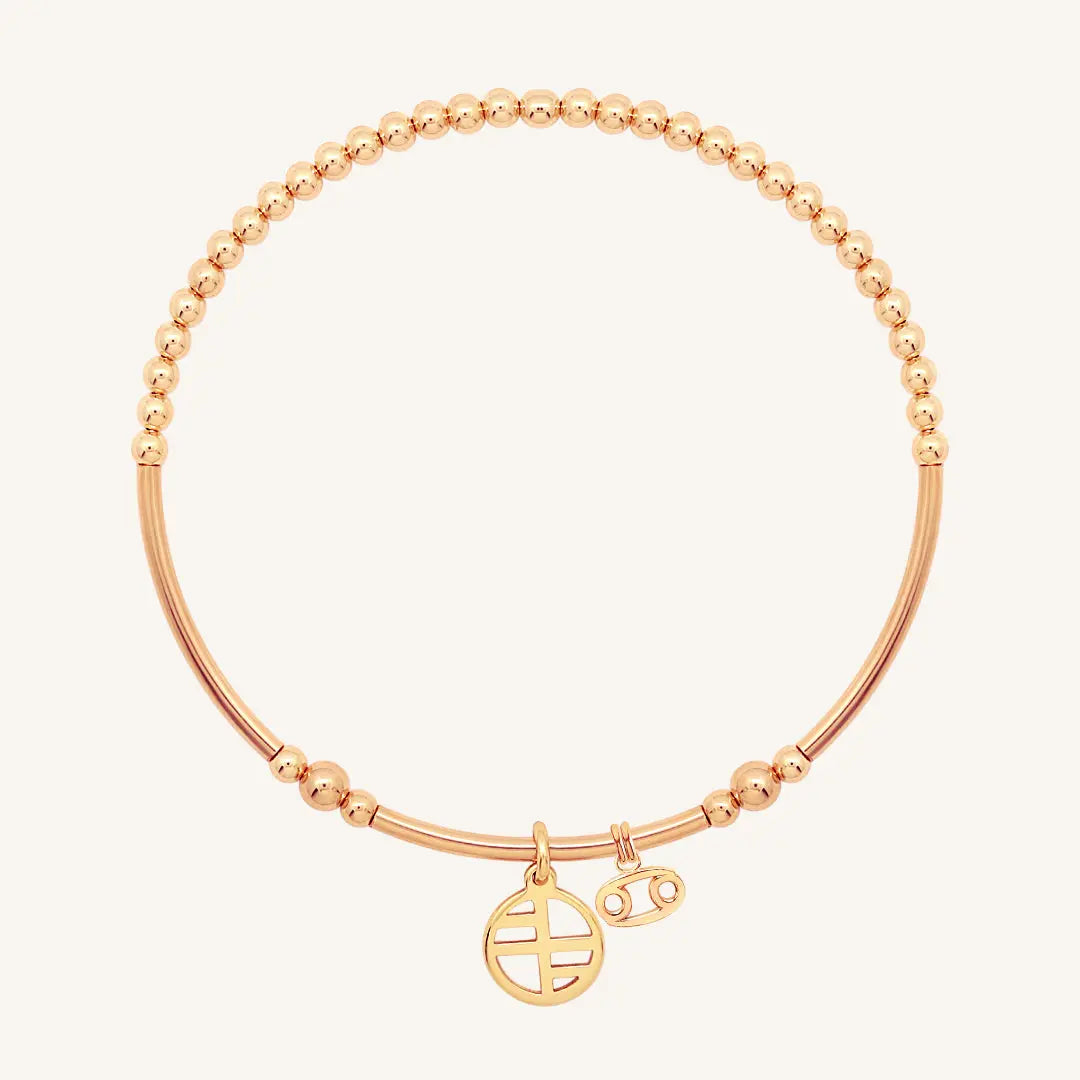 The    Petite Zodiac Charm Cancer by  Francesca Jewellery from the Charms Collection.