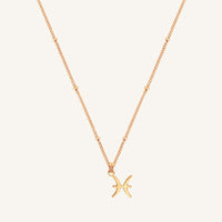 Petite Zodiac Necklace - ZODIACCAPRICORN_PETITE_GOLD_2.jpg
