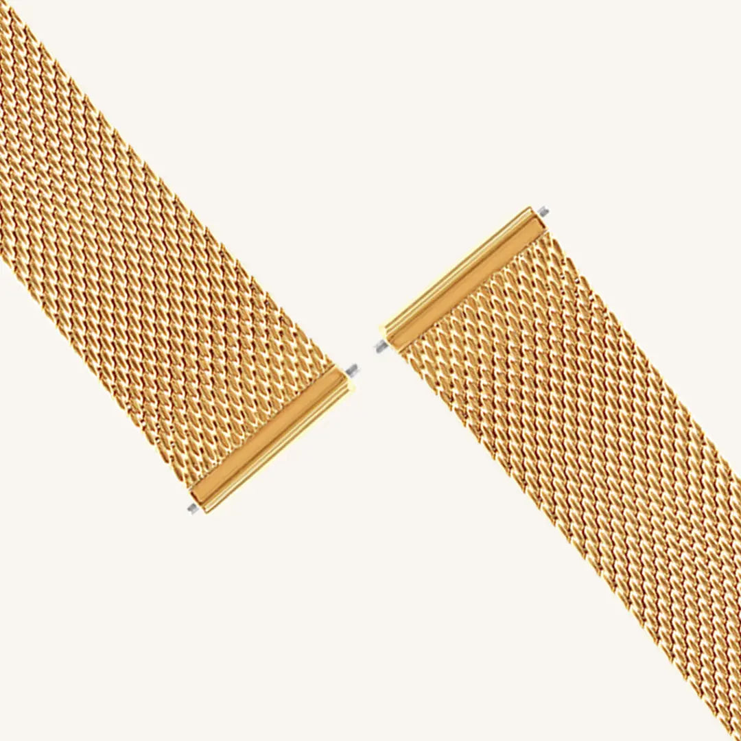  Mesh Band - FRANC_WATCH_MESH_GOLD_4_1_bfc6383b-4e6b-4844-9098-b72ac249eb04.jpg