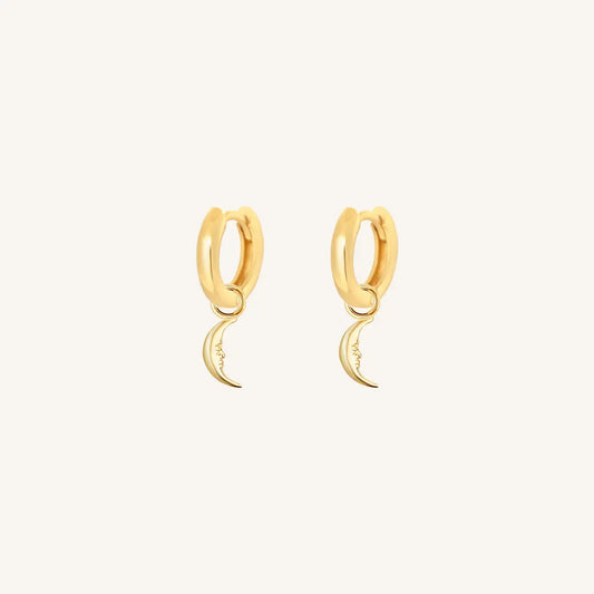 The  GOLD-Billie  Patience Plain Hoops by  Francesca Jewellery from the Earrings Collection.