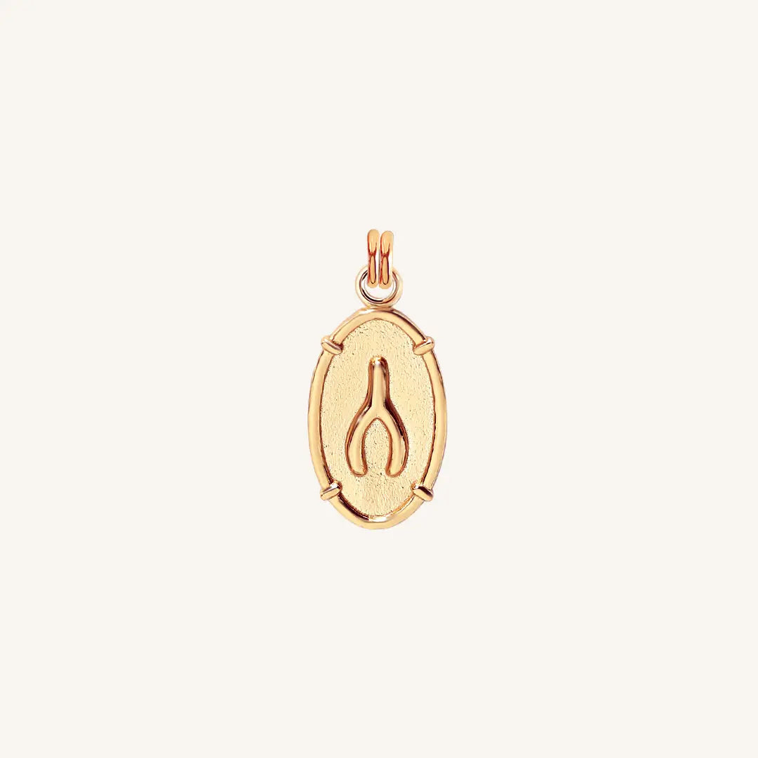  Wishing Bone Charm - WISHINGBONE_MEDIUM_ROSEGOLD_1.jpg